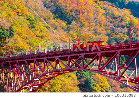 Kurobe Gorge in Autumn: Torokko Train Running on Shinyamabiko Bridge Kurobe Gorge in Autumn: Torokko Train Running on Shinyamabiko Bridge 106316098