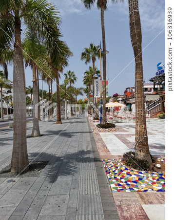 Street in Playa de las Americas on Tenerife Street in Playa de las Americas on Tenerife 106316939