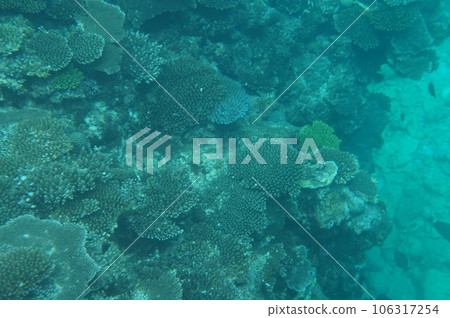Okinawa Onna village sea Okinawa Onna village sea 106317254