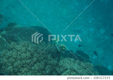 沖繩恩納村海 沖繩恩納村海 106317255