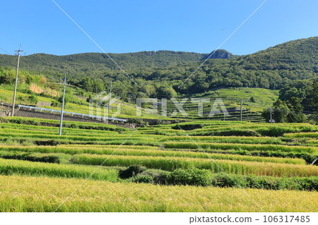 香川縣小豆島市中山千枚田 香川縣小豆島市中山千枚田 106317485