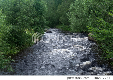 fast mountain river between wooded banks 106317744