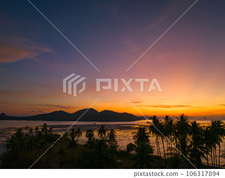 .Aerial view coconut fields in the morning glow in orange light..Orange light penetrates the horizon above the coconut forest. coconut fields in the morning glow in orange light..Laem Had Beach . 106317894