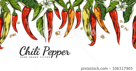 Hand drawn chili peppers seamless border in sketch style, vector illustration on white background. Hand drawn chili peppers seamless border in sketch style, vector illustration on white background. 106317905