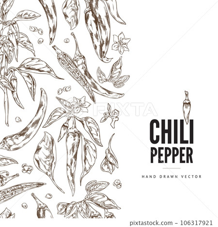Chili peppers branch, leaves, flowers and seeds, brown contour vector hand drawn label design template with logo letter 106317921