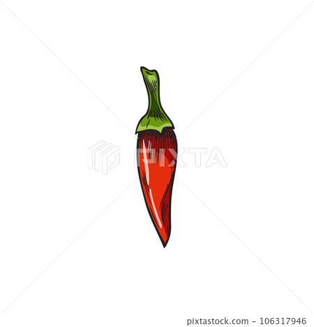Red chili pepper in hand drawn sketch style, vector illustration isolated on white background. Red chili pepper in hand drawn sketch style, vector illustration isolated on white background. 106317946
