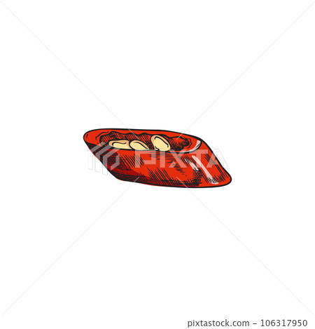 Slice red chili pepper with seeds, cut paprika pod, small piece natural spicy vegetable vector hand drawn illustration 106317950