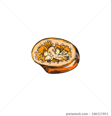 Hand drawn slice of chili pepper with seeds sketch style, vector illustration 106317951