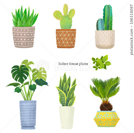 例證套葉子植物 例證套葉子植物 106318097