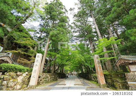 永平寺 106318102