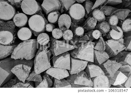 Photography on theme big wall of stacked oak tree Photography on theme big wall of stacked oak tree 106318547