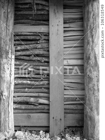 Photography on theme big wall of stacked oak tree Photography on theme big wall of stacked oak tree 106318549