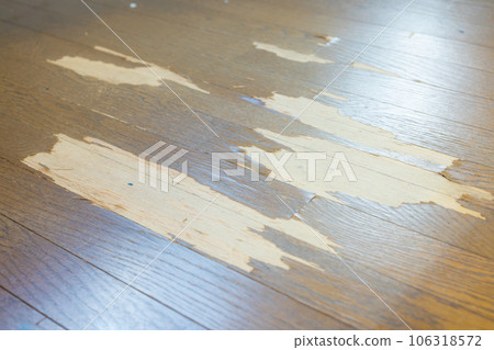 地板損壞 106318572