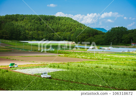 山中農場【長野縣】 山中農場【長野縣】 106318672