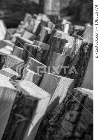 Photography on theme big wall of stacked oak tree Photography on theme big wall of stacked oak tree 106318774