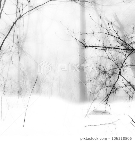 white fluffy snow in winter cold forest. white fluffy snow in winter cold forest. 106318806