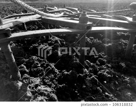 Plowed field for potato in brown soil on open countryside nature 106318832