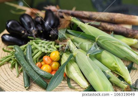 許多收穫的蔬菜 106319049