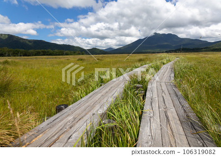 Tree road of Ozegahara and Mt. 106319082