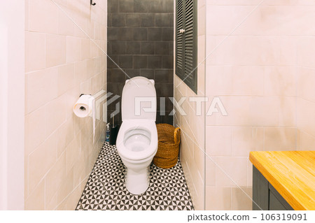 Modern Toilet. Stylish Apartment Interior Of Restroom. Idea For Home Design. Light Colors Of Design Modern Toilet. Stylish Apartment Interior Of Restroom. Idea For Home Design. Light Colors Of Design 106319091