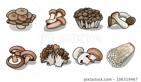 秋季蘑菇套裝插畫素材 106319467