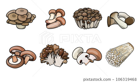 Autumn mushroom set illustration material 106319468