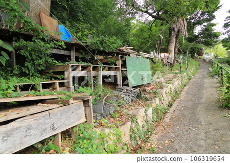 廣島縣尾道市容貓的小徑 廣島縣尾道市容貓的小徑 106319654