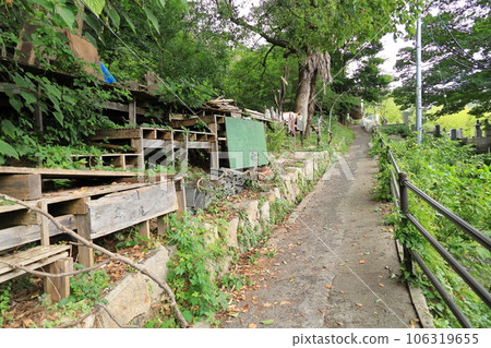 廣島縣尾道市容貓的小徑 廣島縣尾道市容貓的小徑 106319655