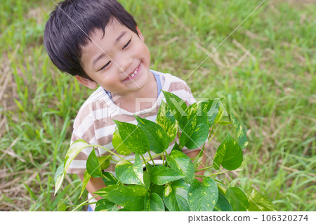 Boys with plants 106320274