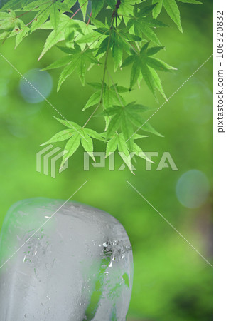 Icicles and green leaves 106320832