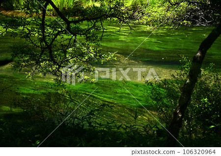Okunikko Green River Okunikko Green River 106320964