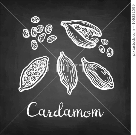 Cardamom chalk sketch set. 106321599
