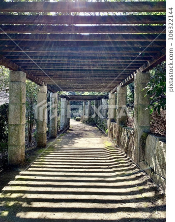 光線(放射的太陽光)閃耀的遮陽架<岡崎中央公園(溫縣園)/愛知縣岡崎市> 光線(放射的太陽光)閃耀的遮陽架<岡崎中央公園(溫縣園)/愛知縣岡崎市> 106322144
