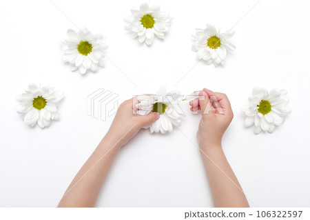 Spring frame of small flowers and daisy, floral arrangement 106322597
