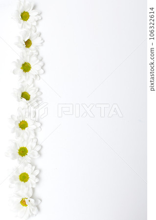 Spring frame of small flowers and daisy, floral arrangement. Spring frame of small flowers and daisy, floral arrangement. 106322614