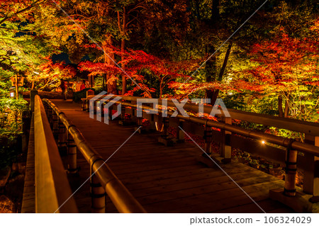 秋天的德川園、紅葉彩燈<愛知縣名古屋市> 秋天的德川園、紅葉彩燈<愛知縣名古屋市> 106324029