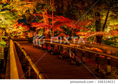 秋天的德川園、紅葉彩燈<愛知縣名古屋市> 秋天的德川園、紅葉彩燈<愛知縣名古屋市> 106324031