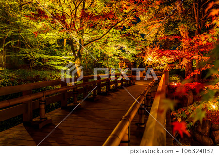 秋天的德川園、紅葉彩燈<愛知縣名古屋市> 秋天的德川園、紅葉彩燈<愛知縣名古屋市> 106324032