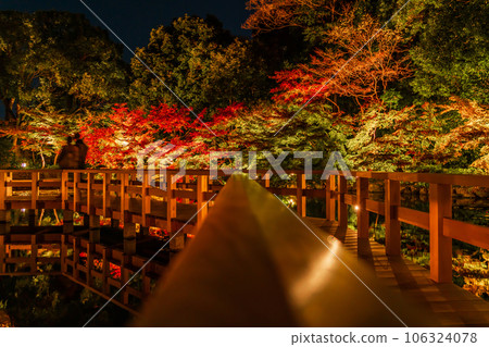 秋天的德川園、紅葉彩燈<愛知縣名古屋市> 106324078