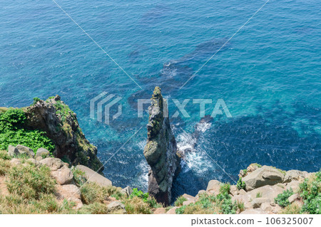 Ororon Island Walk Teuri Island Ororon Island Walk Teuri Island 106325007