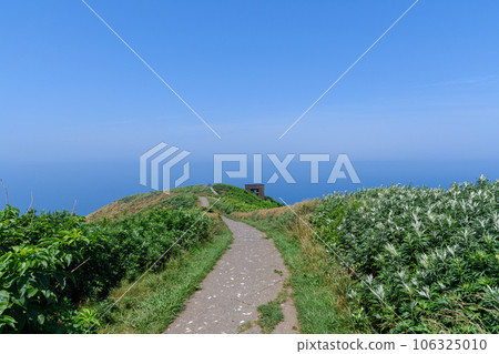 奧羅龍島步行 Teuri 島 奧羅龍島步行 Teuri 島 106325010