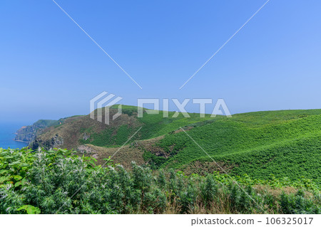 奧羅龍島步行 Teuri 島 奧羅龍島步行 Teuri 島 106325017
