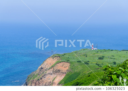 奧羅龍島步行 Teuri 島 106325023