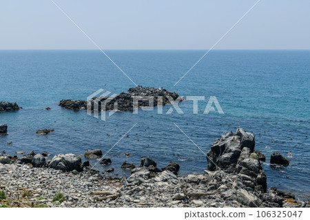 奧羅龍島步行 Teuri 島 奧羅龍島步行 Teuri 島 106325047