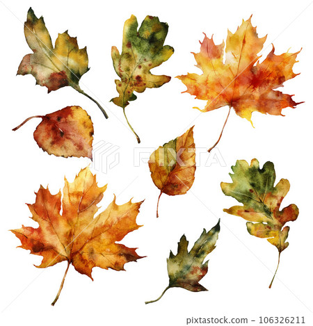 Watercolor autumn set of bright leaves. Hand painted fall plants isolated on white background. Floral illustration for design, print, fabric or background. 106326211