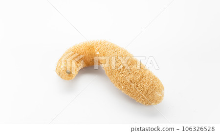 Luffa on a white background board. 106326528
