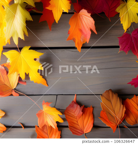 Autumn orange, leaves fall abstract background, leaf random element outdoor 106326647