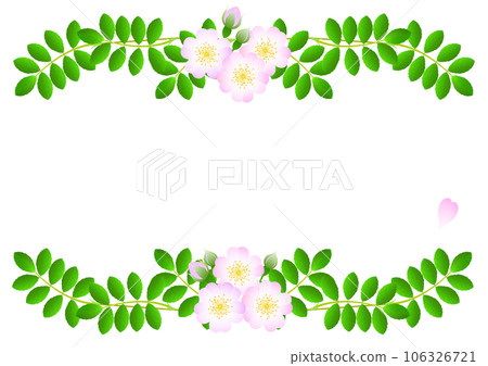 野玫瑰裝飾框架 106326721