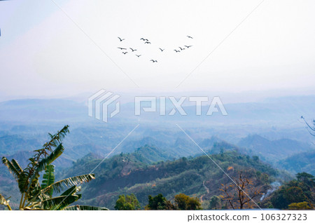 Flock of birds flying over the mountain at Bandarban, Bangladesh Flock of birds flying over the mountain at Bandarban, Bangladesh 106327323