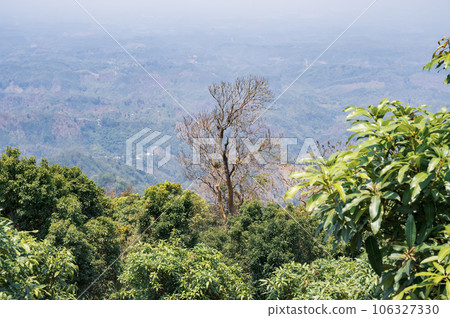 Mountain view of Bandarban, Bangladesh. Landscape 106327330